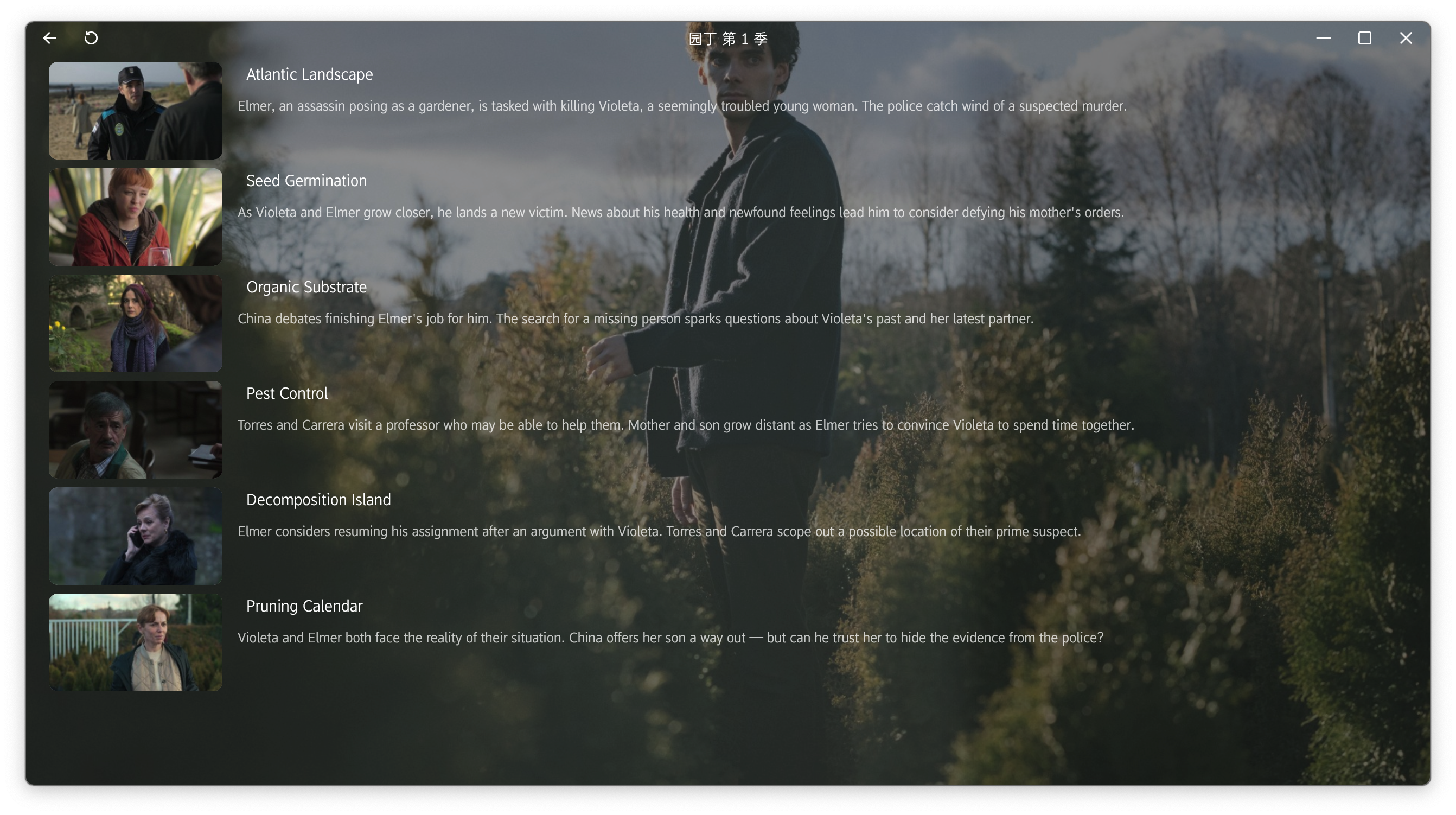 iPlay Windows